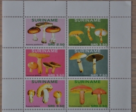 REP. SURINAME 2014 PADDESTOELEN