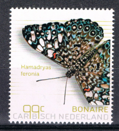 BONAIRE 2024 VLINDERS BUTTERFLIES PAPILLONS