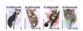 REP. SURINAME 2024 APEN PRIMATES