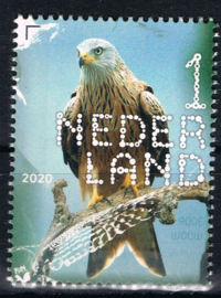 NEDERLAND VOGELS BIRDS 2/10 ++ D(B) 182