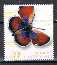 BONAIRE 2024 VLINDERS BUTTERFLIES PAPILLONS