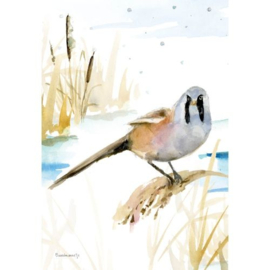 2023 NEDERLAND MARKER WADDEN VOGELS ++ D(A)