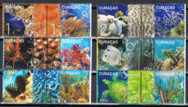 CURACAO 2024 ONDERWATER VISSEN