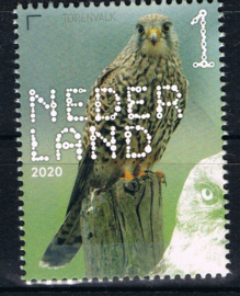 NEDERLAND VOGELS BIRDS 6/10 ++ D(B) 182