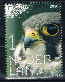 NEDERLAND VOGELS BIRDS 8/10 ++ D(B) 182