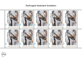 ROOFVOGELS NEDERLAND SMELLEKEN ++ D ( C ) 030