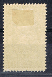 NEDERLAND 1913 NVPH 96 ONGEBRUIKT ++ J 028