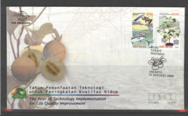 INDONESIË FDC 01/2000