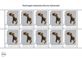 ROOFVOGELS NEDERLAND BRUINE KIEKENDIEF ++ D ( C ) 030
