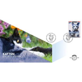 NEDERLAND NVPH FDC E 884 TYPISCH NEDERLAND KATTEN