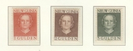 NIEUW GUINEA 1950 NVPH SERIE 19