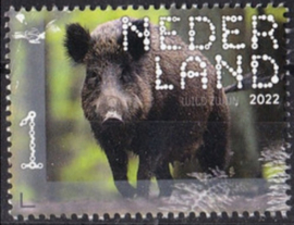 BELEEF DE NATUUR LEUVENUMSE BOSSEN ++ D(A) 298