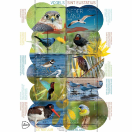 2025 BELEEF DE NATUUR ST EUSTATIUS  VOGELS BIRDS ++ C 126