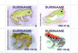 REP. SURINAME 2024 KIKKERS FROGS