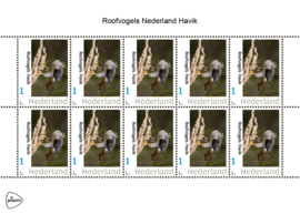 ROOFVOGELS NEDERLAND HAVIK ++ D ( C ) 030