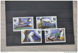 D 017 ++ WWF ROMANIA BIRDS OISEAUX VOGELS