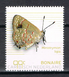 BONAIRE 2024 VLINDERS BUTTERFLIES PAPILLONS