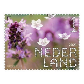 NEDERLAND DUIN EN KRUIDBERG BLOEM ++ D(A) 288