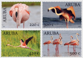 ARUBA 2022 FLAMINGO'S VOGELS