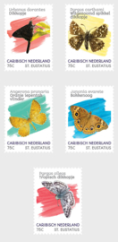 ST EUSTATIUS 2020 VLINDERS ++ M