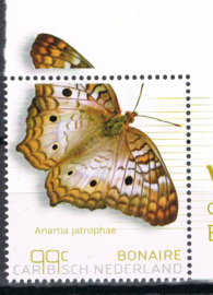 BONAIRE 2024 VLINDERS BUTTERFLIES PAPILLONS