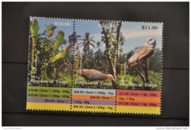 TONGA VOGELS  UIL PAPEGAAI  ++ O 249