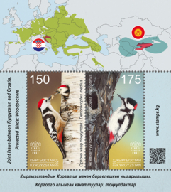 KIRGISTAN 2021 VOGELS SPECHT ++ M3 -52