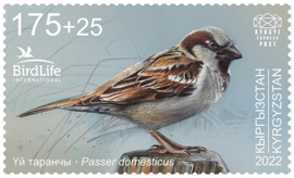 KIRGISTAN 2023 VOGELS HUISMUS ++ M3 -52