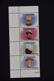 REP. SURINAME 2018 PADDESTOELEN