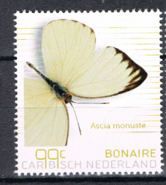 BONAIRE 2024 VLINDERS BUTTERFLIES PAPILLONS