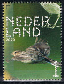 NEDERLAND VOGELS BIRDS 10/10 ++ D(B) 183