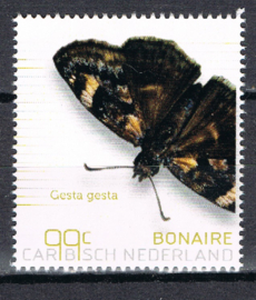 BONAIRE 2024 VLINDERS BUTTERFLIES PAPILLONS