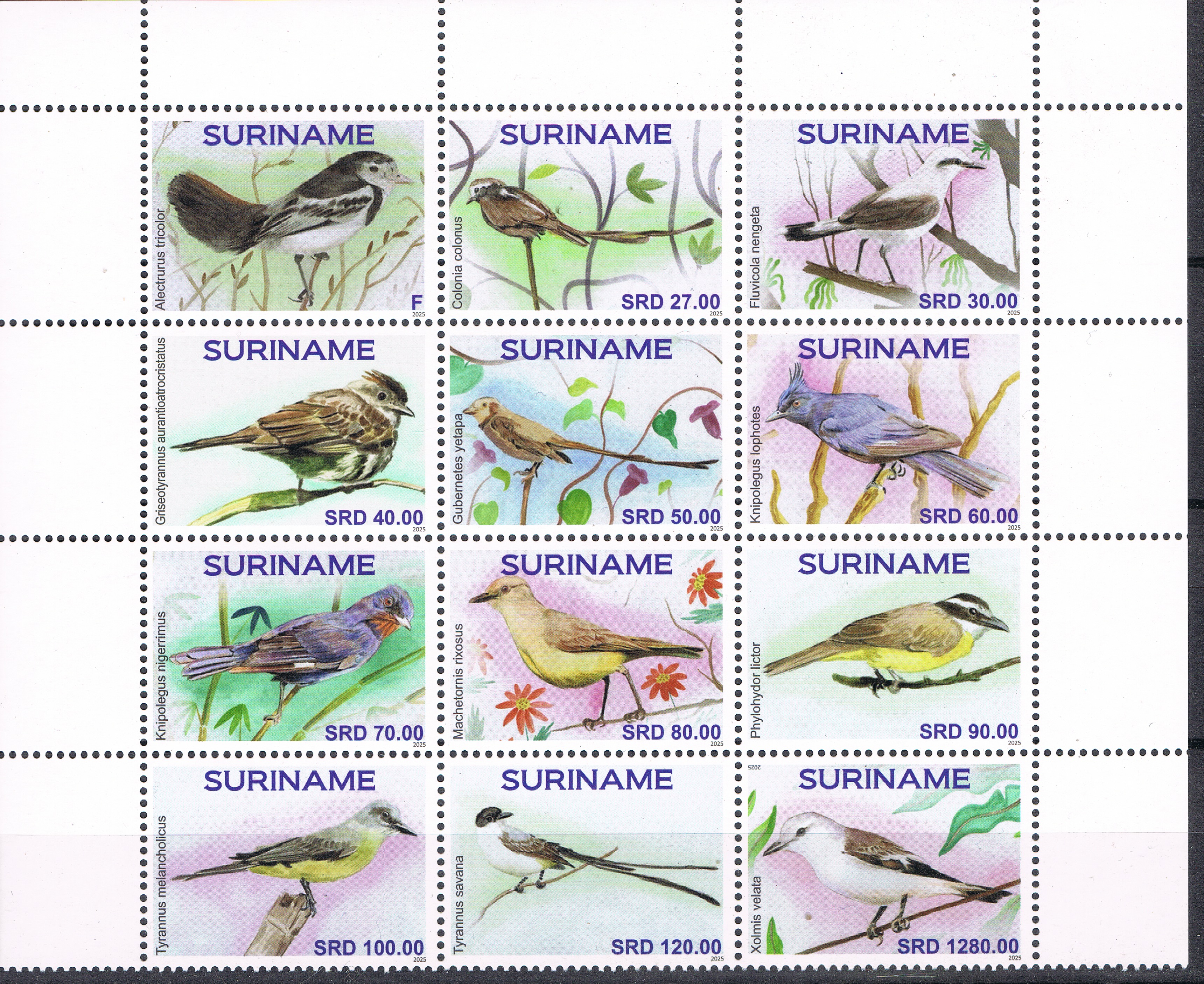 REP. SURINAME 2025 VOGELS BIRDS