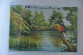 2001 MCHL Bl 29 VOGELS IJSVOGEL