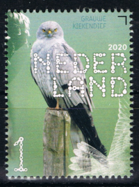 NEDERLAND VOGELS BIRDS 5/10 ++ D(B) 182