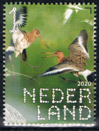 NEDERLAND VOGELS BIRDS 3/10 ++ D(B) 183