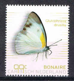 BONAIRE 2024 VLINDERS BUTTERFLIES PAPILLONS