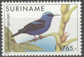 REP. SURINAME 1996 ZBL SERIE 894 VOGELS BIRDS