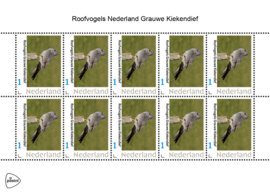 ROOFVOGELS NEDERLAND GRAUWE KIEKENDIEF ++ D ( C ) 030