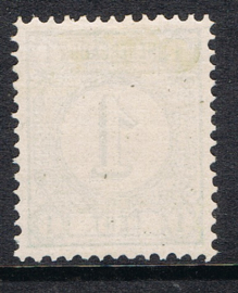 NEDERLAND 1876 NVPH 31 ONGEBRUIKT ++ L 028