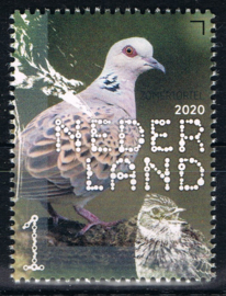 NEDERLAND VOGELS BIRDS 5/10 ++ D(B) 183