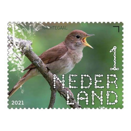 NEDERLAND DUIN EN KRUIDBERG VOGEL NACHTEGAAL ++ D(A) 288