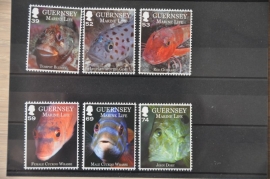 GUERNSEY VISSEN FISHES POISSONS ++ H 255