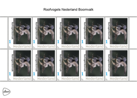 Vogels