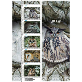 OP SAFARI IN NEDERLAND UILEN VOGELS  ++ D(B) 208