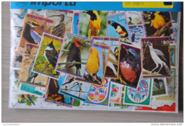 Importa Postzegelpakket 100 vogels ++ 33