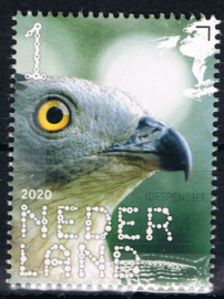 NEDERLAND VOGELS BIRDS 1/10 ++ D(B) 182