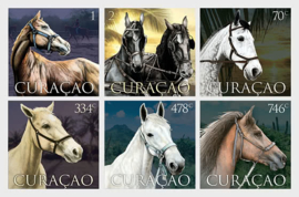 CURACAO 2021 PAARDEN