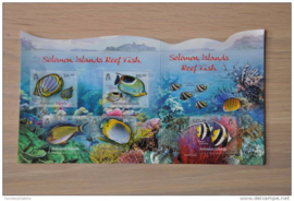 SOLOMON VISSEN FISHES ++ M