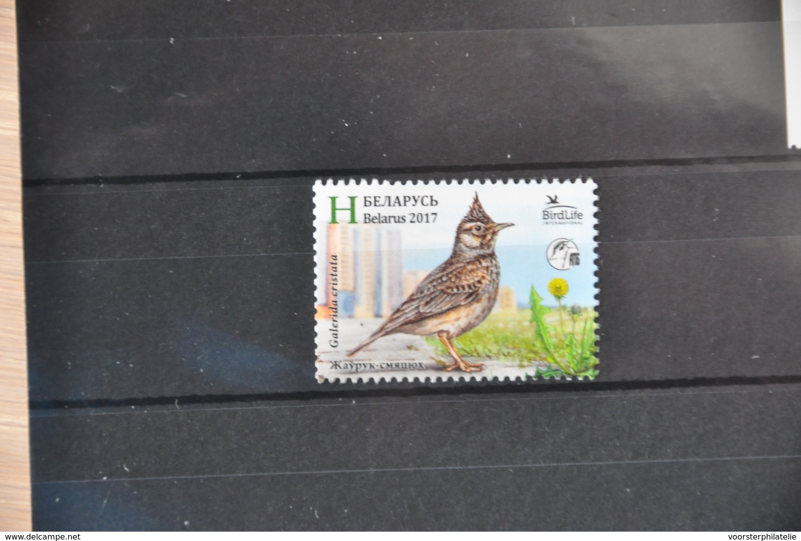 BELARUS 2017 VOGELS BIRDS OISEAUX ++ S 301